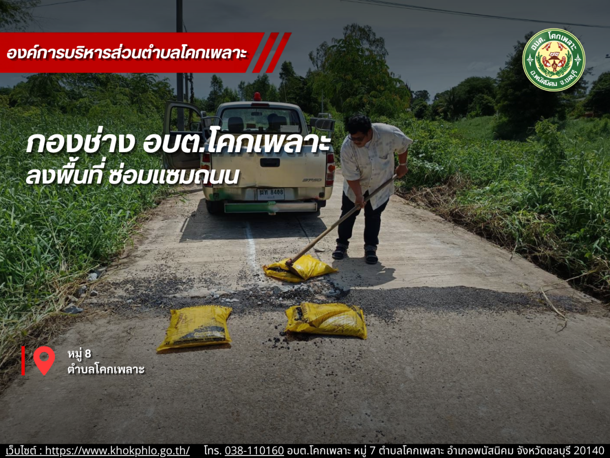 องค์การบริหารส่วนตำบลโคกเพลาะ