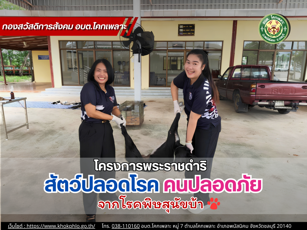 องค์การบริหารส่วนตำบลโคกเพลาะ
