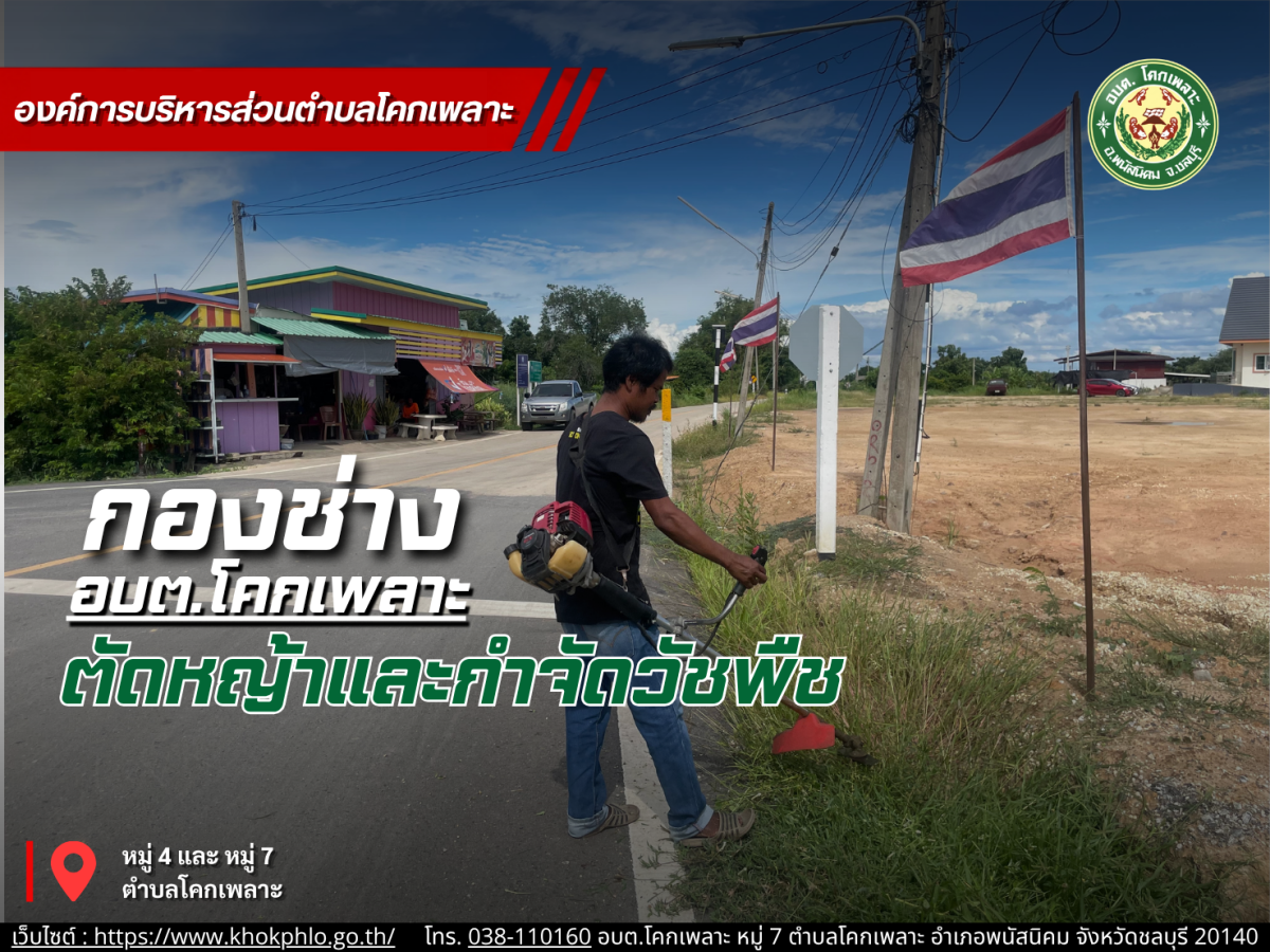 องค์การบริหารส่วนตำบลโคกเพลาะ