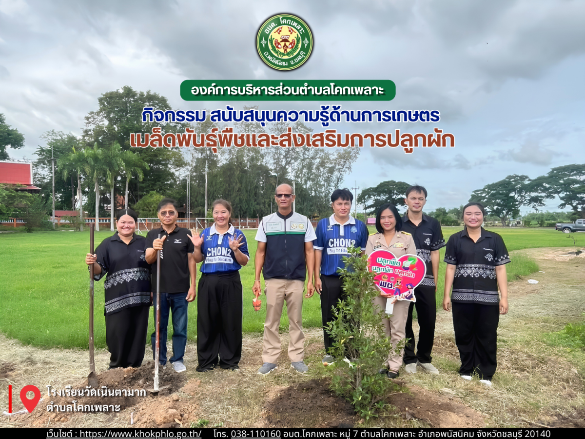 องค์การบริหารส่วนตำบลโคกเพลาะ