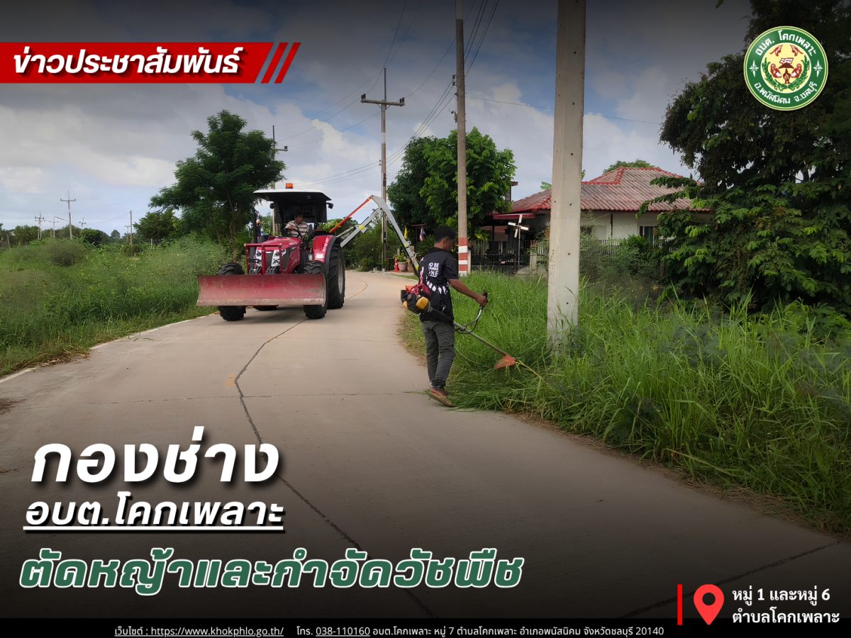 องค์การบริหารส่วนตำบลโคกเพลาะ