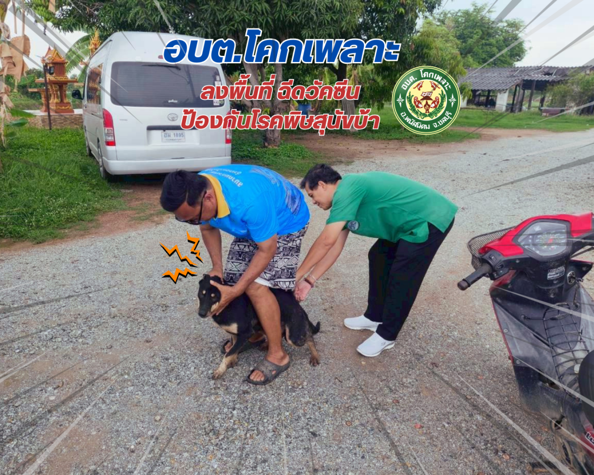 องค์การบริหารส่วนตำบลโคกเพลาะ