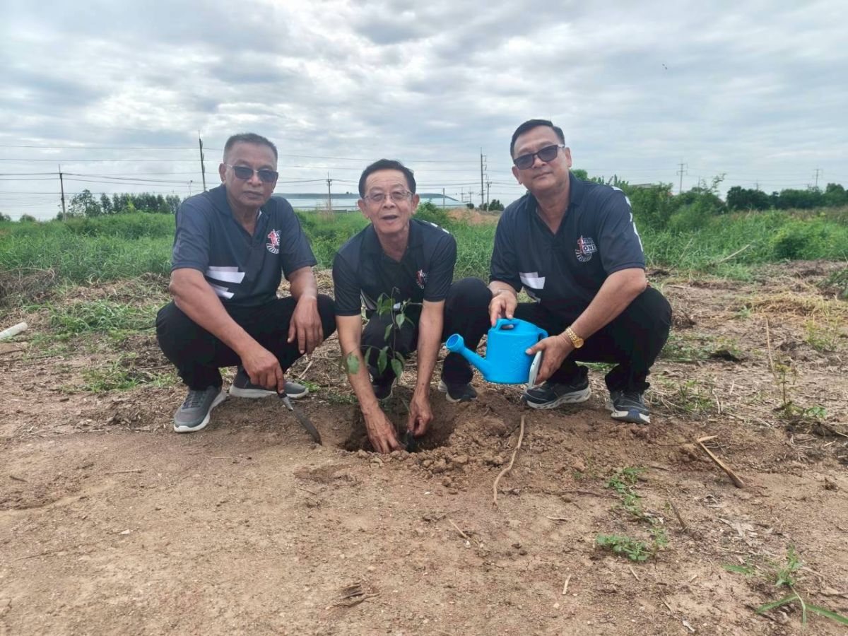 องค์การบริหารส่วนตำบลโคกเพลาะ